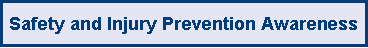 Text Box: Safety and Injury Prevention Awareness